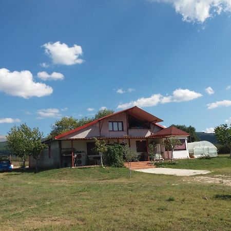 Rural Hοuse Apartment Kastritsa Exterior photo