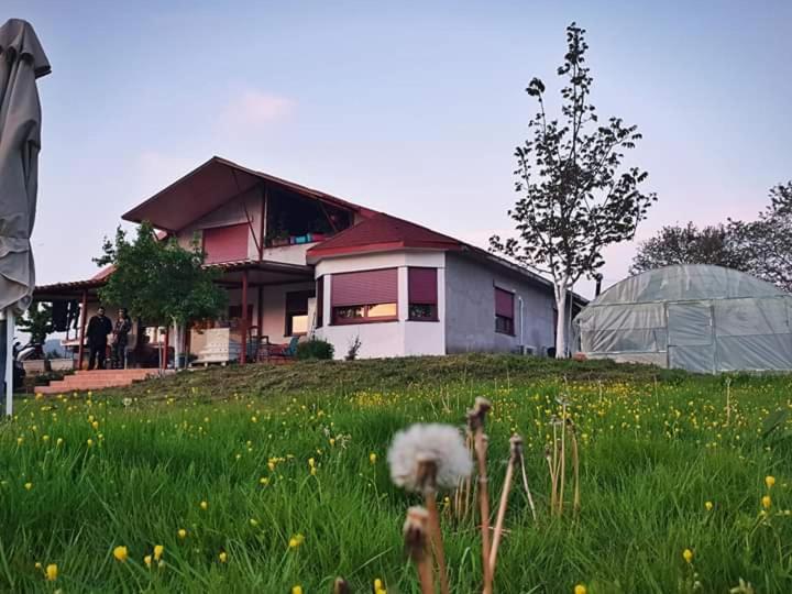 Rural Hοuse Apartment Kastritsa Exterior photo